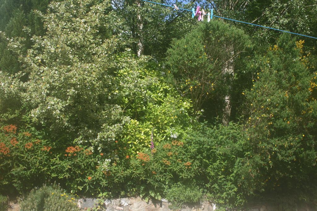 Laragh Mountain View Lodge Saggart Rom bilde