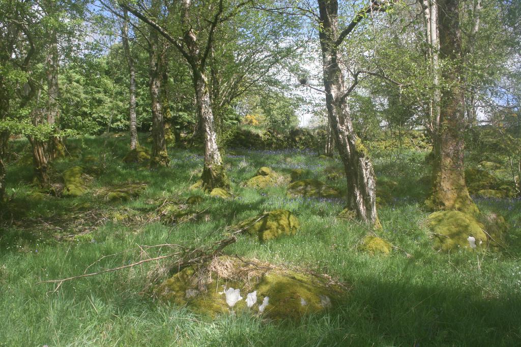 Laragh Mountain View Lodge Saggart Eksteriør bilde